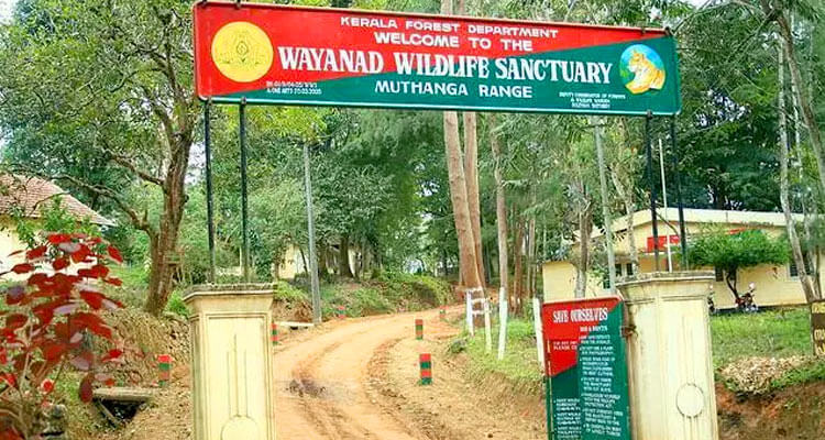 Wayanad Wildlife Sanctuary