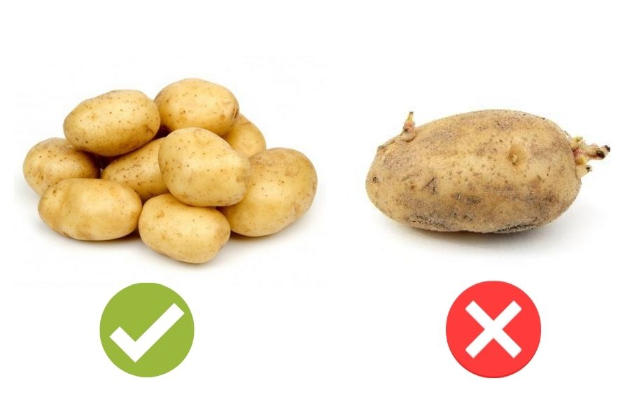 Cách chọn khoai tây để làm bột
