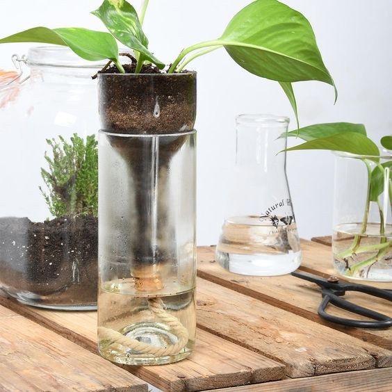 self watering glass planter 