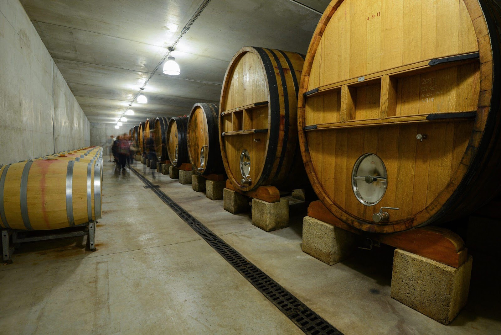 Several barrels in a cellar

Description automatically generated