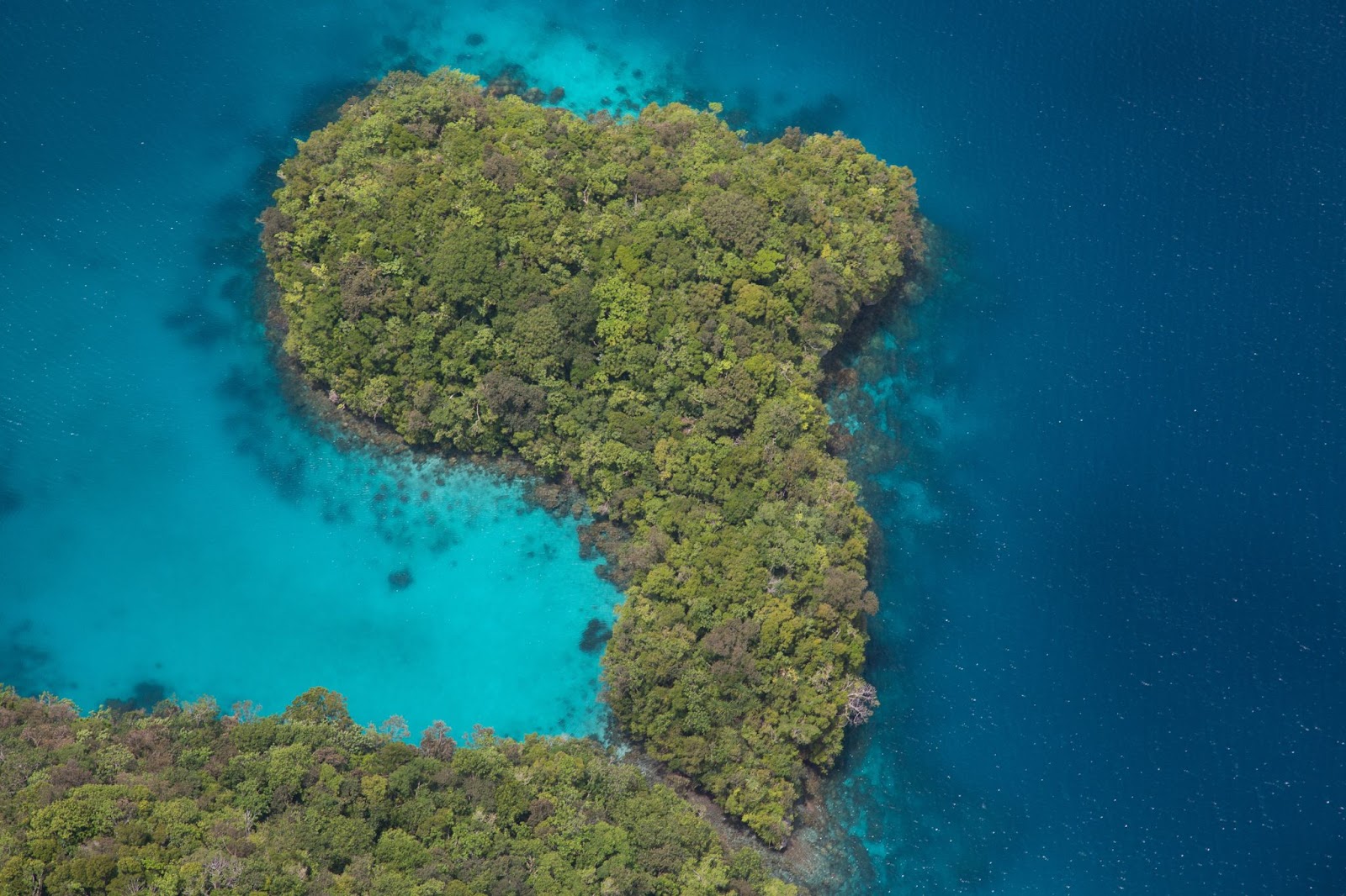 被譽為「此生必遊的潛水勝地」之一的帛琉，擁有豐富海洋資源與獨特文化，是泛太平洋區中海洋生態最豐富的地方。（照片來源：unsplash）被譽為「此生必遊的潛水勝地」之一的帛琉，擁有豐富海洋資源與獨特文化，是泛太平洋區中海洋生態最豐富的地方。（照片來源：unsplash）