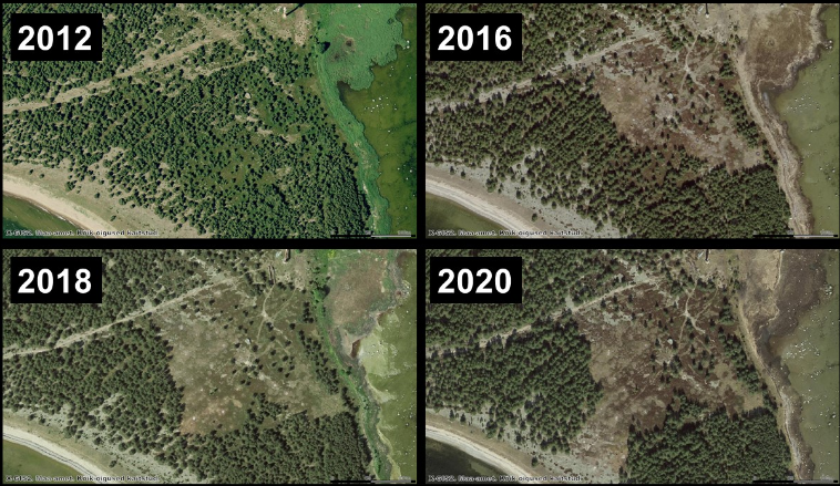 Muutused Rammu saare maastikus enne ja pärast 2013. aastal alanud talguid.