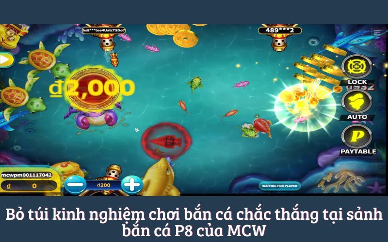 Bỏ túi kinh nghiệm chơi bắn cá chắc thắng tại sảnh bắn cá P8 của MCW