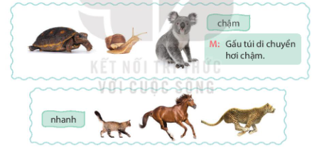 A group of animals on a white background

Description automatically generated
