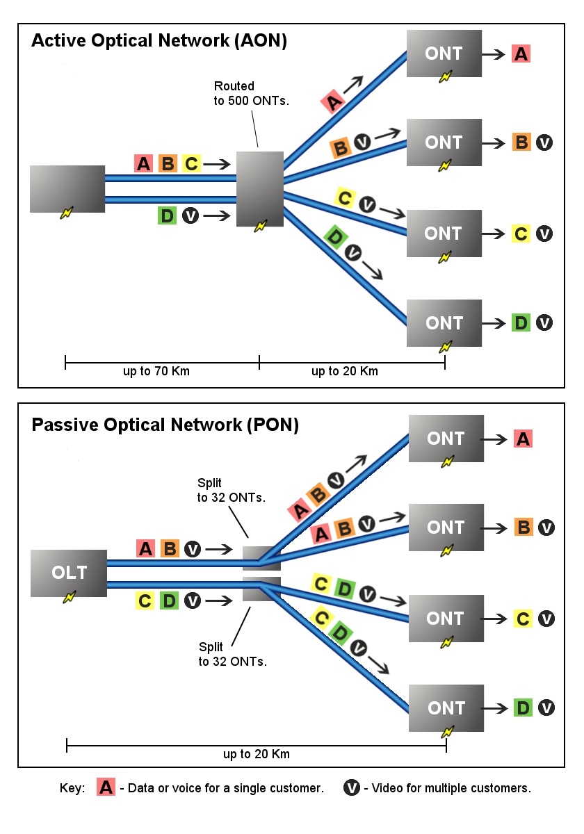 Active Optical Network and Passive Optical Network