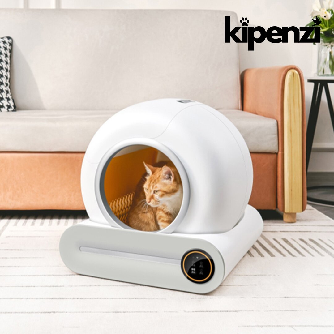 Automatic Cat Litter Box