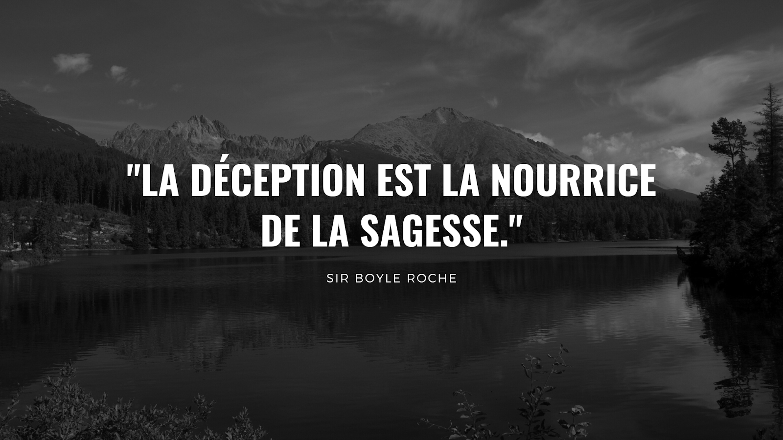 Citations inspirantes pour surmonter la déception | MentorShow