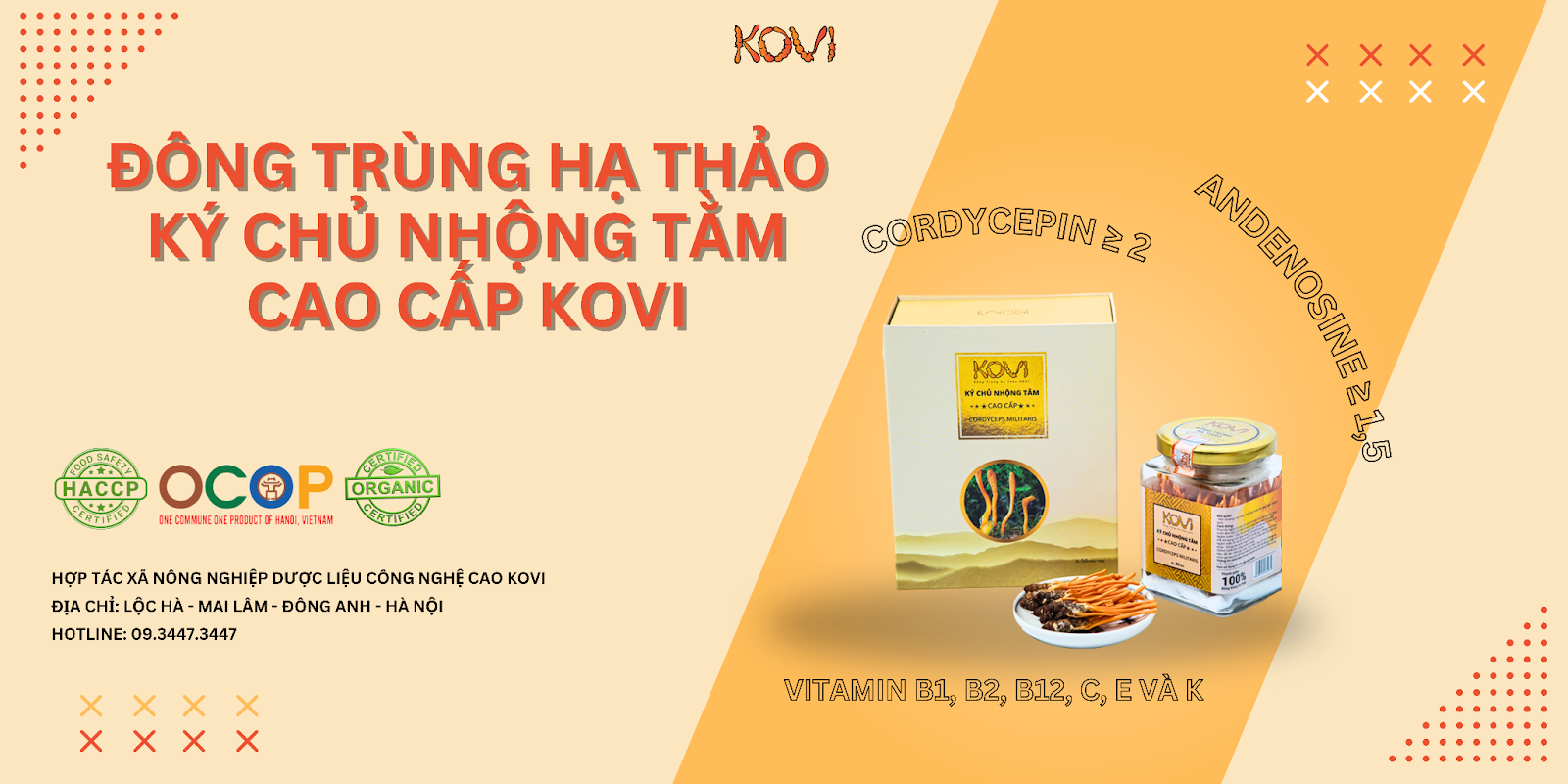 Ký chủ nhộng tằm đông trùng hạ thảo