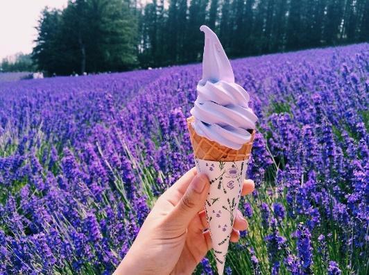 A hand holding an ice cream cone in a field of purple flowers

Description automatically generated