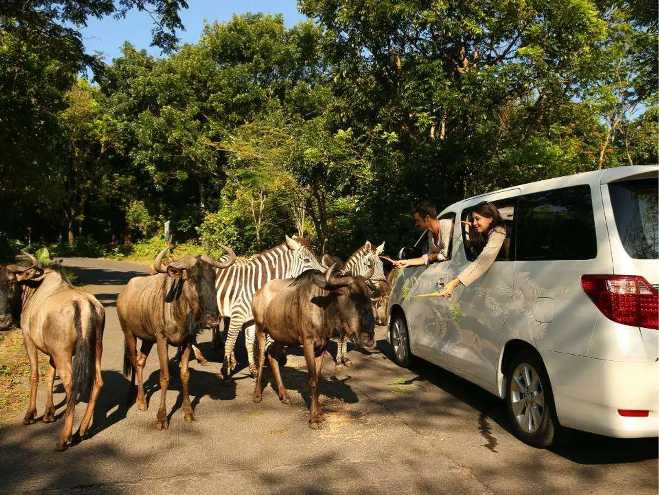   Berkunjung ke Malang? Cek Tempat Wisata Malang Terfavorit Yang Satu Ini