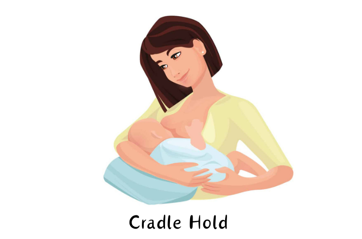 Cradle Hold | Breastfeed Positions for newborn