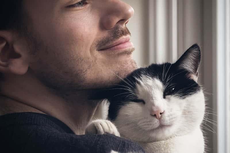 gato blanco y negro acariciando la barbilla de un hombre