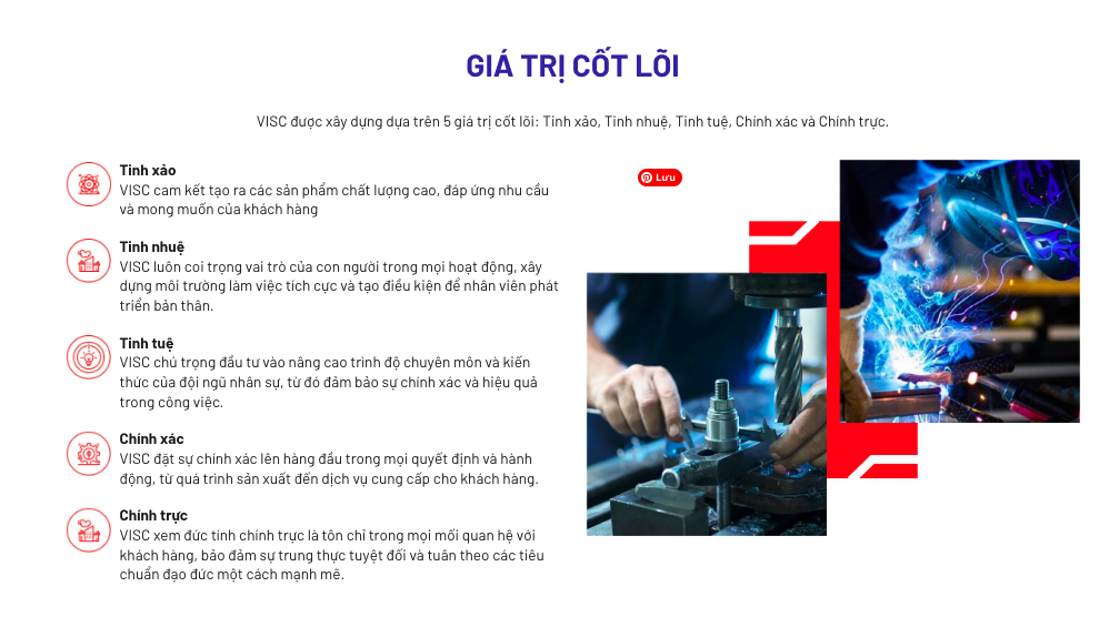 Thương Hiệu Phụ Trợ Việt Thay Áo Đổi Vận: Song hành để Vươn xa, Fast như Vin