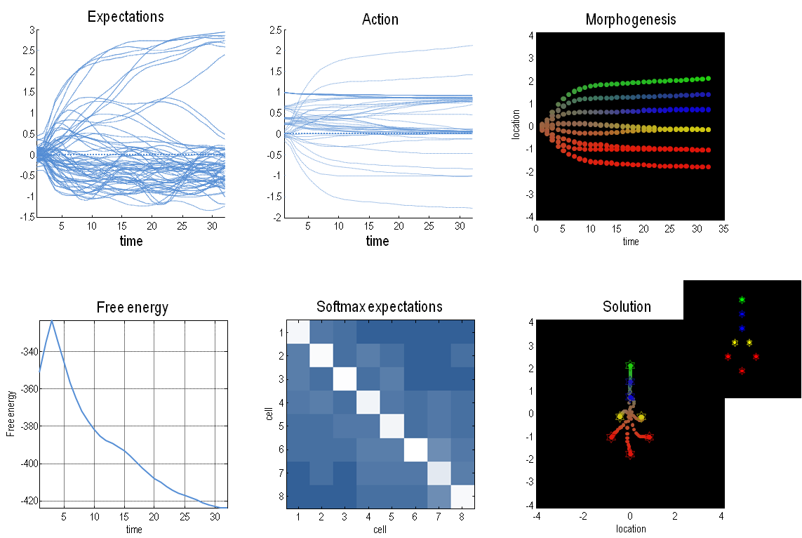 A collage of different colored lines

Description automatically generated