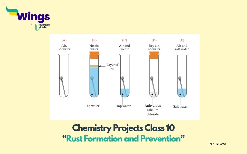 Chemistry Project Class 10:  Rust Formation and Prevention