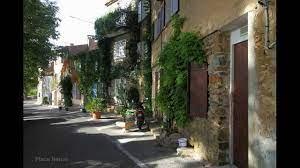 A street with a building and plants on it

Description automatically generated with medium confidence