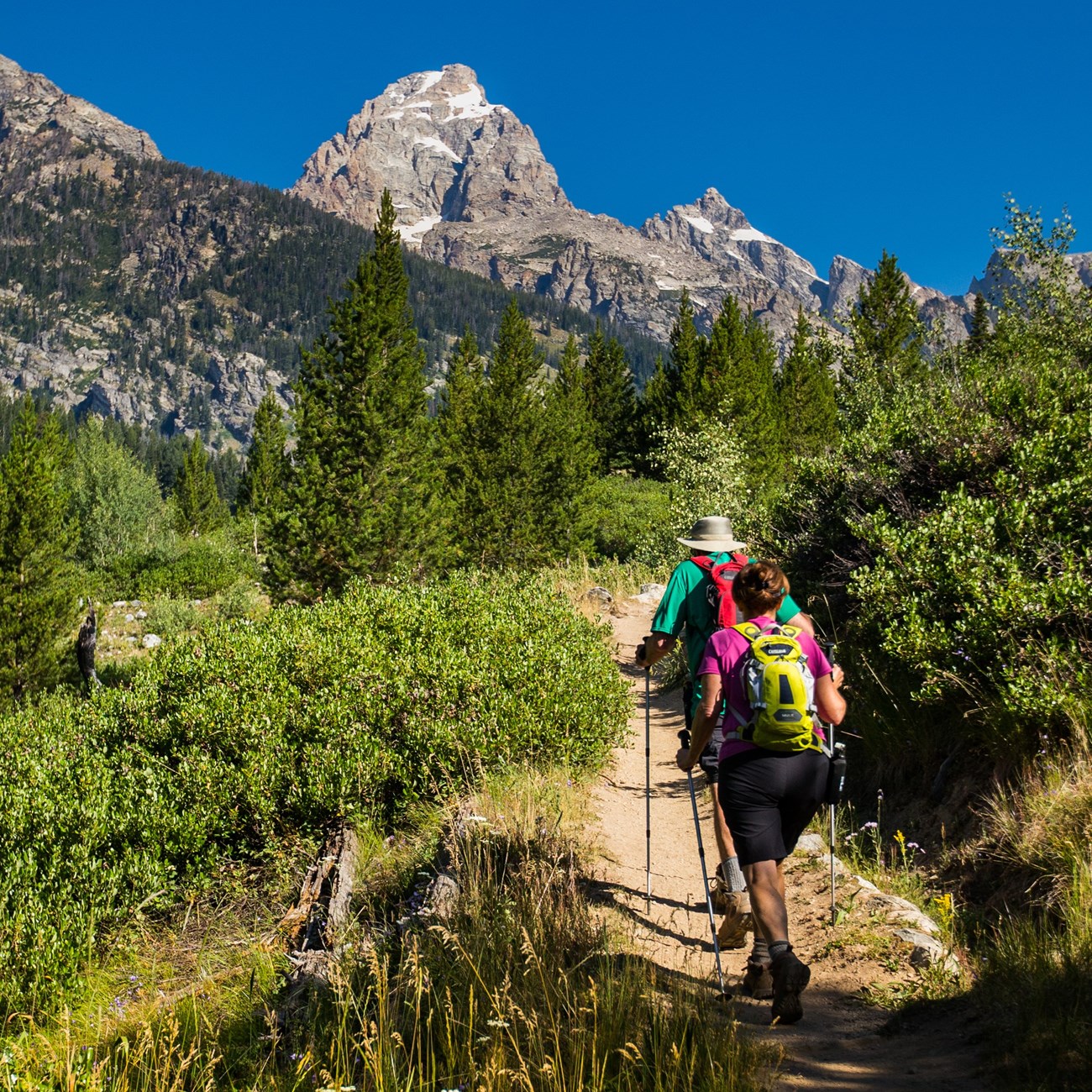 hiking is being done as part of activities offered by Overseas Adventure Travel.