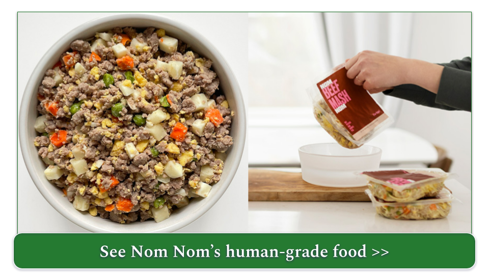 Best human grade dog clearance food