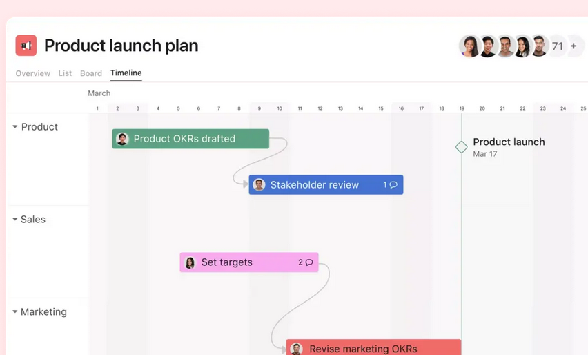 Image showing Asana as project management software for Mac users