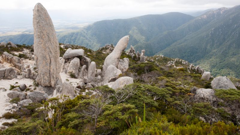 Tall, narrow rock formations among green shrubs with mountainous terrain in the background at Kahurangi National Park.