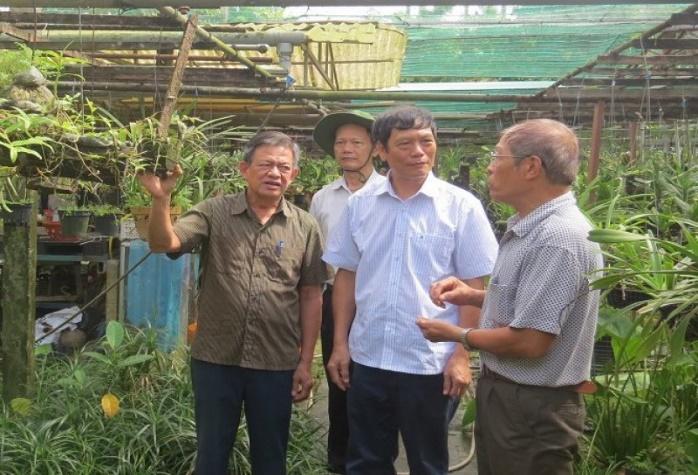 Lãnh đạo Hội Làm vườn Việt Nam thăm một số mô hình VAC tiêu biểu tại Hải  Phòng