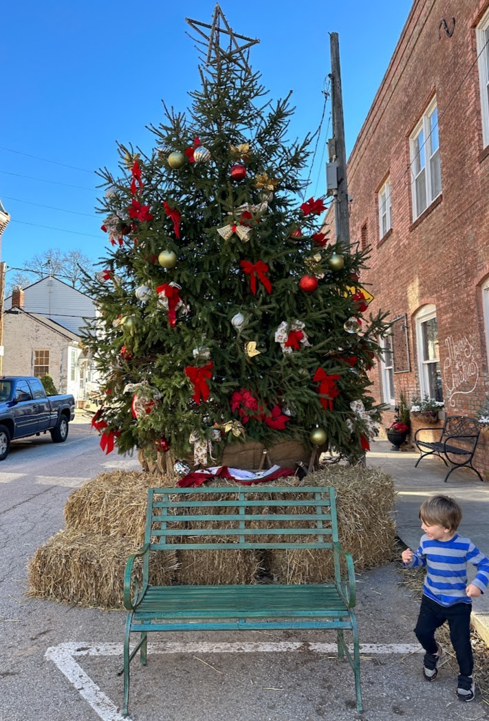 A boy looking at a Christmas tree in downtown Weston, Missouri