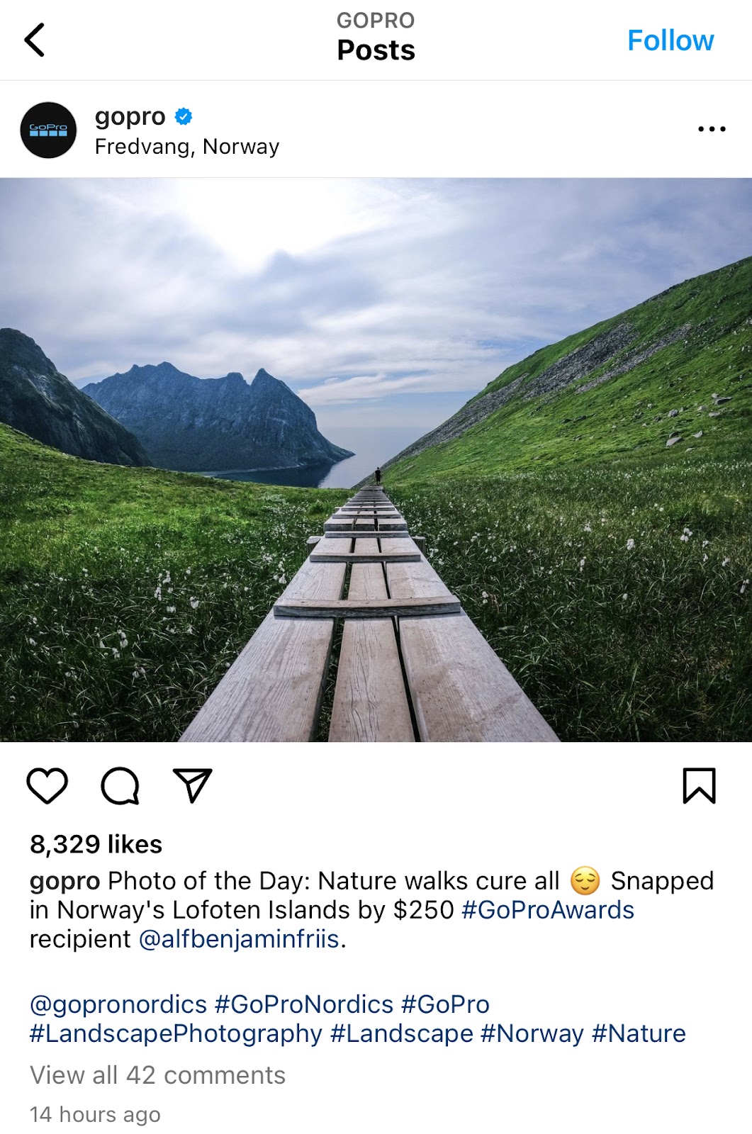 Promote User-Generated Content on Instagram