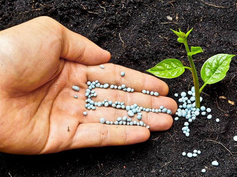 Fertilizing