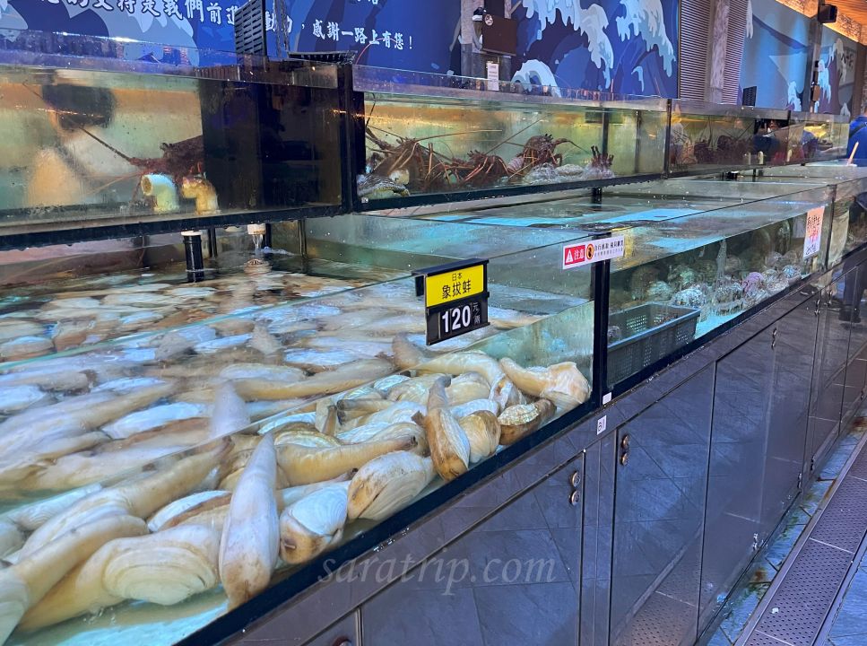 雲林古坑【八斗子海鮮餐廳】超奢華 “無菜單” 海鮮料理 藍洞水族箱 山城裡的網美海鮮餐廳 