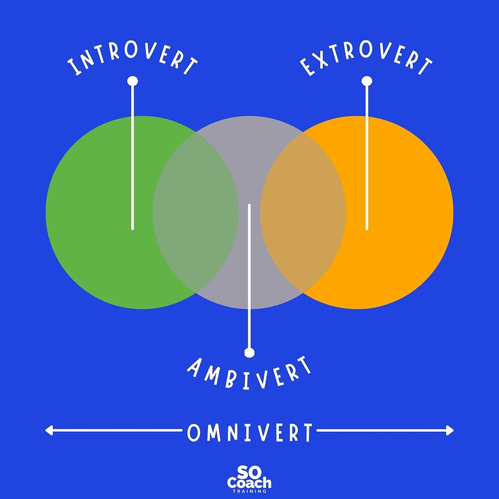 WHICH ONE IS YOU ? PC: Google Images An Ambivert is someone who has a  balance of extrovert and introvert features in their personality. An  Omnivert is someone who can be the