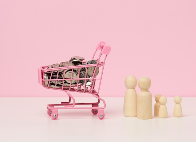 Chic Choices Cart Chronicles