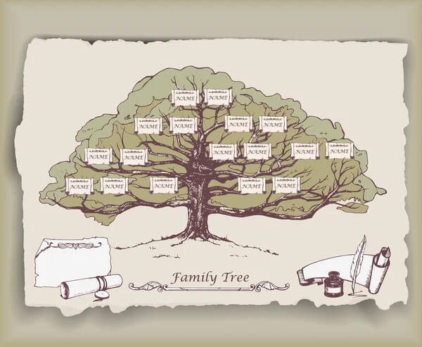 Hand-Drawn Family Tree Chart