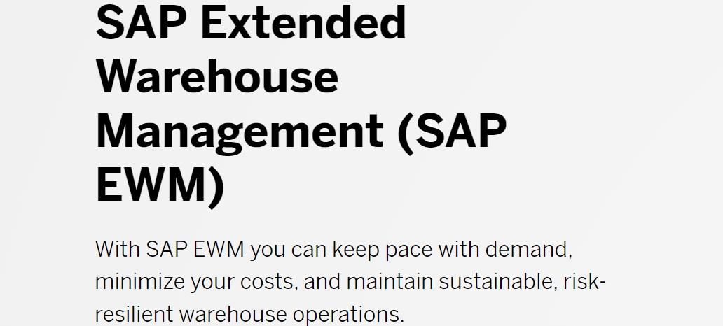 Image showing SAP as a management system