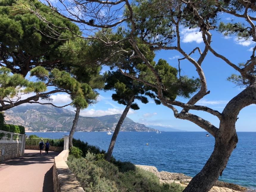 A path with trees and water in the background

Description automatically generated