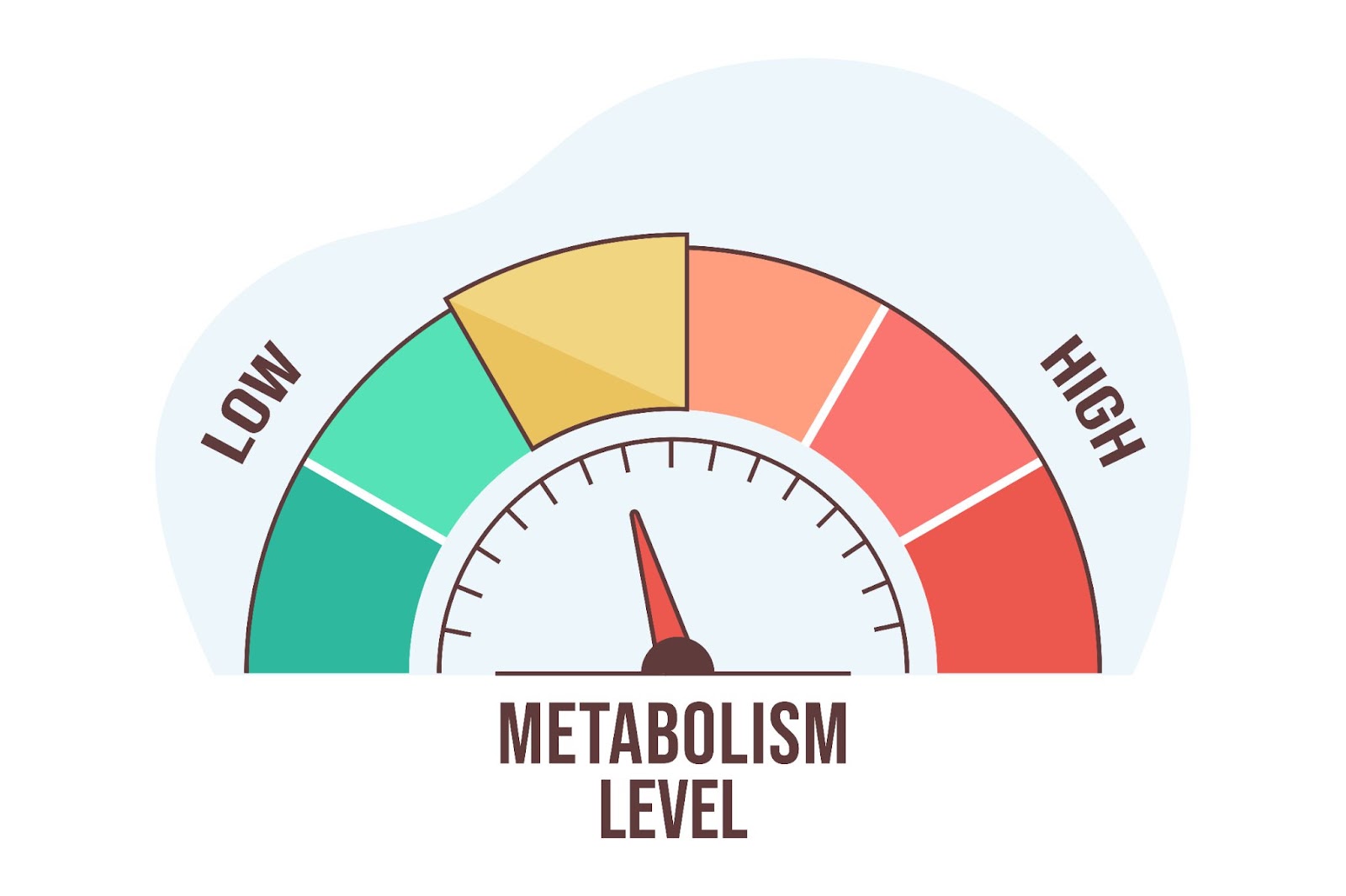 BMI accuracy