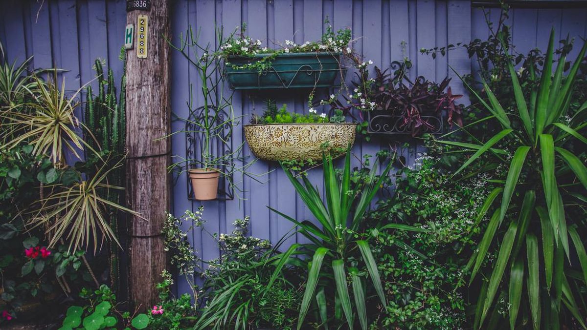 Enchanted Eden Garden Glow