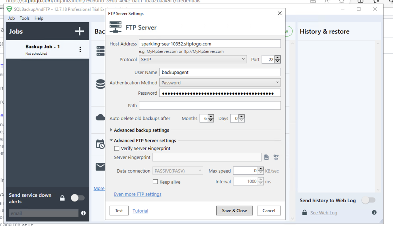 Saving and closing to apply your FTP server details via the SQLBackupAndFTP Job tab