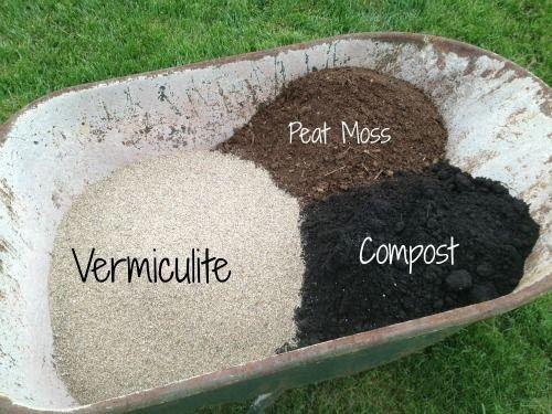 Prepare the Soil