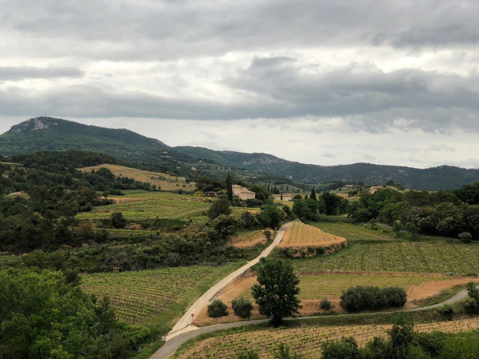 Lush vineyards with panoramic views of the countryside in Provence, France.
