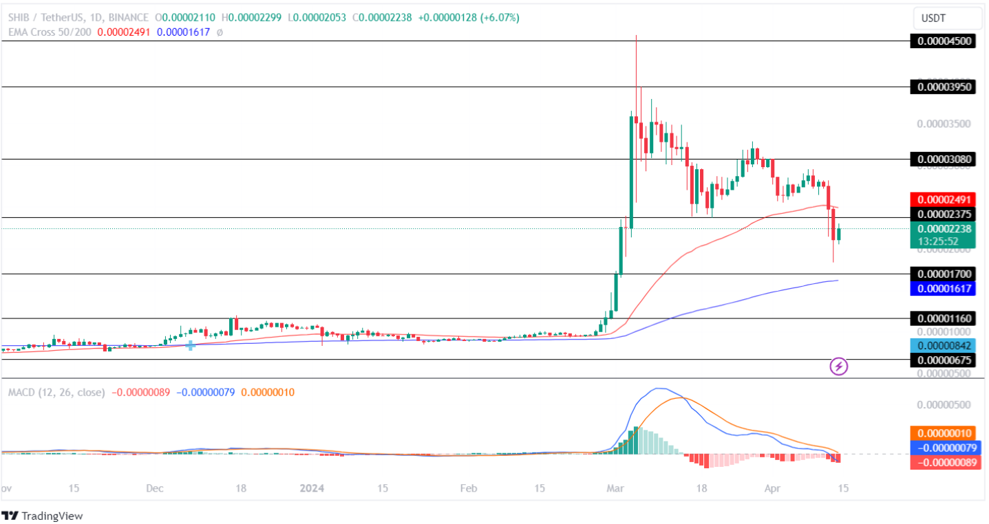 Memecoins com lucros de 10x até o final de abril!