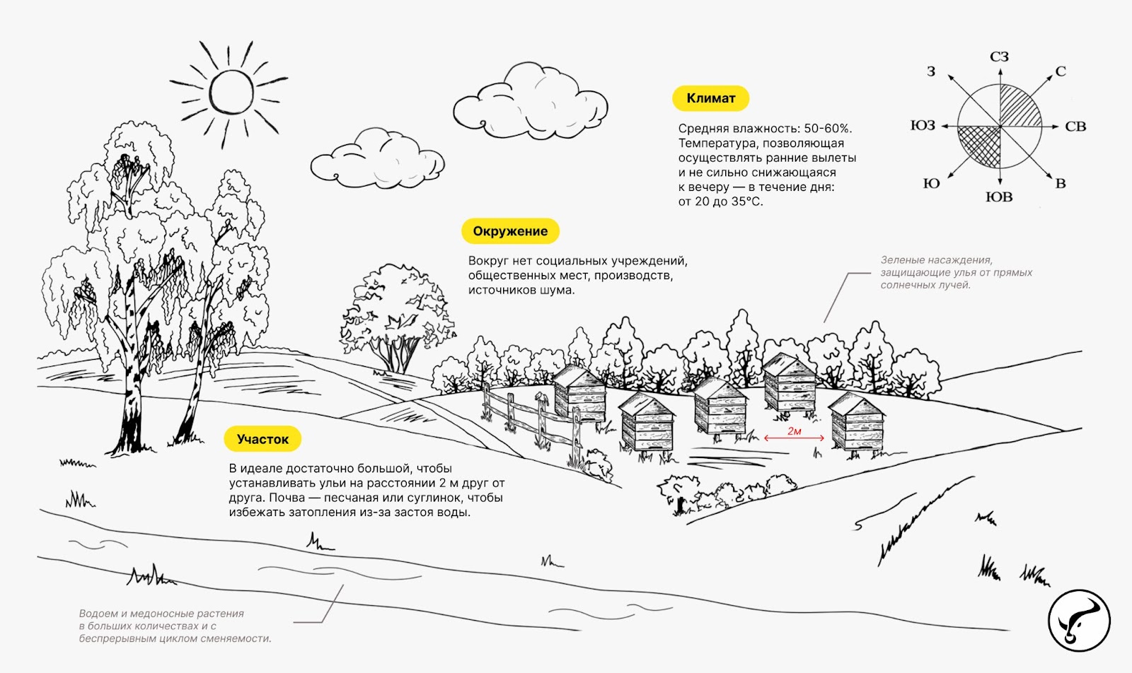 Правила размещения пасеки и ульев