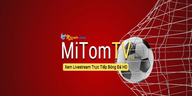 Tất tần tật thông tin về nhà cái trực tuyến bóng đá hàng đầu Mitom TV-1