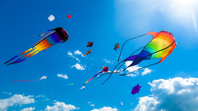 Experiencing the Enchanting Spectacle of Jaipur's Royal Kite Festival 2024