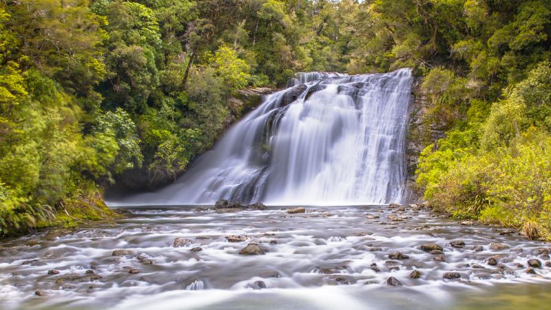 A powerful waterfall cascades through lush, green foliage into a rocky riverbed in Te Urewera National Park.