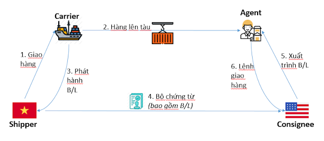 Quy trình vận chuyển hàng hóa bằng đường biển