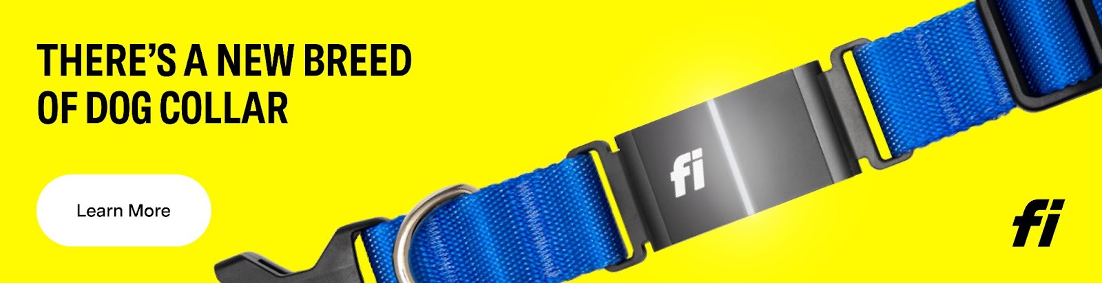 Fi Smart dog collars