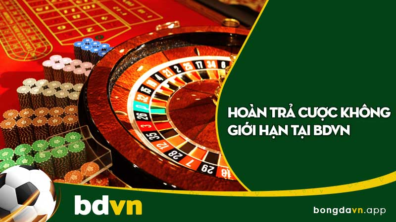 Lợi ích khi tham gia sảnh thể thao của nhà cái bongdavn