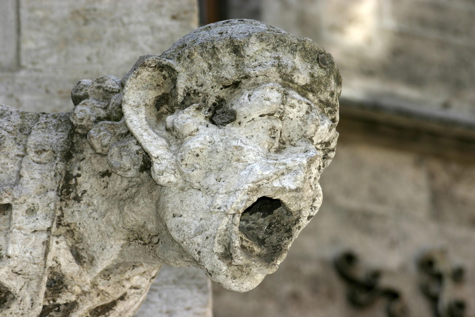  A gargoyle being reduced to flakes due to acid rain.