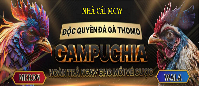 Các trò chơi hấp dẫn tại Sảnh ICF đá gà quốc tế