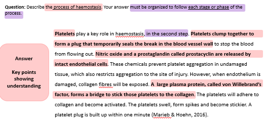 Text annotated to highlight noun groups [ haemostasis]